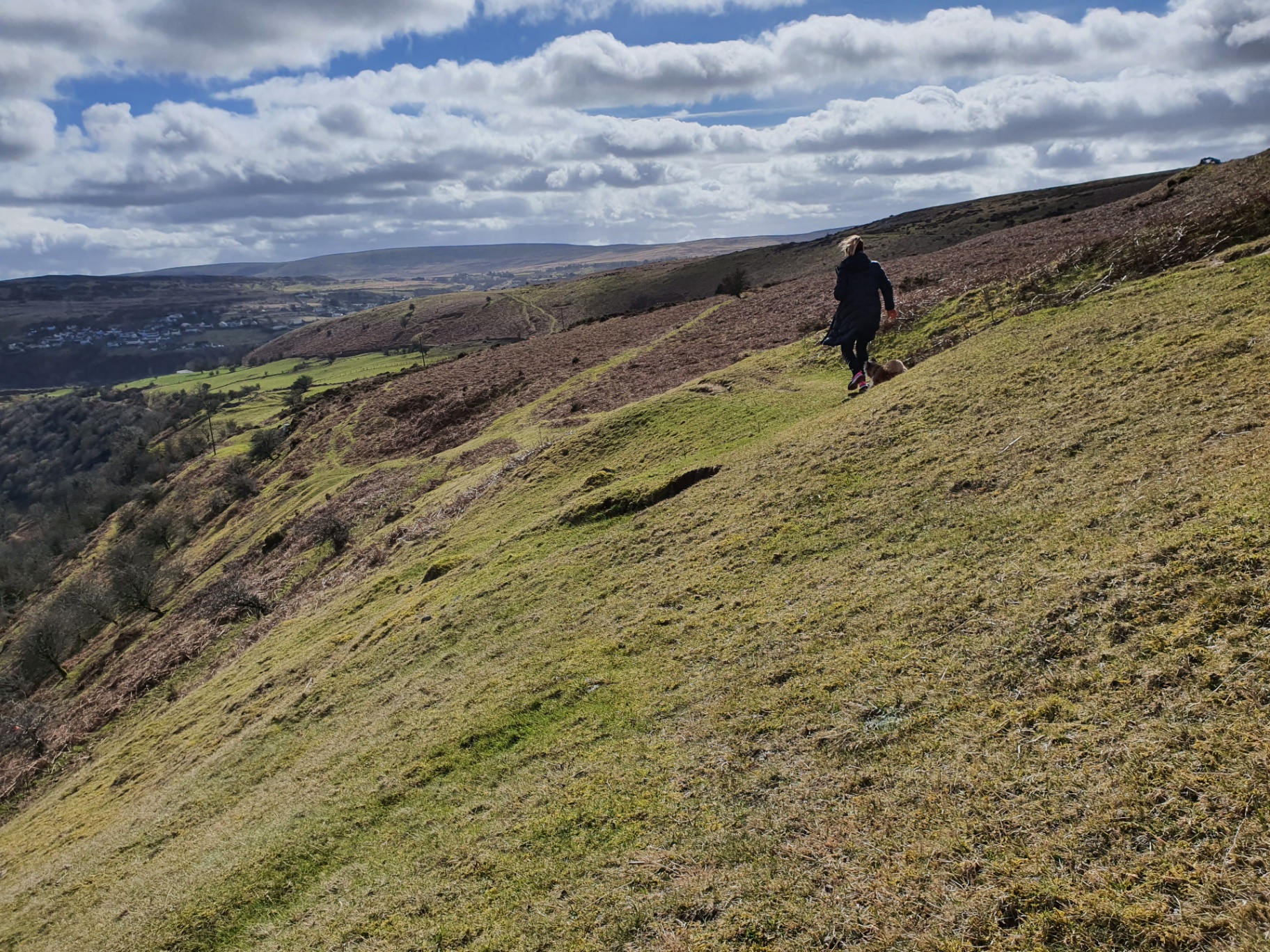 Sugar Loaf peak in autumn with bracken in the foreground